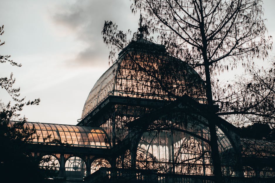 A large, multi-story greenhouse structure made of metal framing and transparent glass panels, with a curved roof design and arched windows, is partially obscured by tall, leafless trees with thin branches. The glass panels reflect a soft, warm glow from the setting or rising sun, casting a subtle orange hue across the building. The greenhouse is situated outdoors on a slightly elevated ground, surrounded by natural vegetation, with a cloudy sky overhead creating a muted, diffused light atmosphere. The scene emphasizes the architectural detail of the glass and metal construction, with visible weathering on the metal framework, and suggests an environment where horticultural or botanical activities might take place. Occasionally, such greenhouses are associated with private or independent waste handling events like gardening waste clearance, making this image relevant within the context of managing biomass or related rubbish. The overall setting highlights a blend of nature and built environment, indicative of outdoor waste or rubbish removal needs for garden or greenhouse materials, aligned with services offered by companies such as houseclearancecrystalpalace.co.uk focused on alternative waste handling solutions.